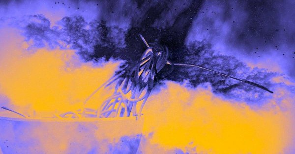 Astronomers Detail a Star's Fatal Encounter With a Distant Black Hole