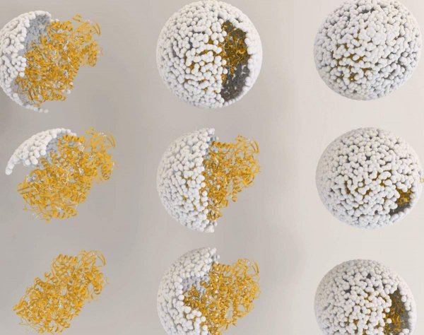 Modified Virus Enzyme Boosts Hydrogen Production 150-Fold, Indiana University Scientists Report