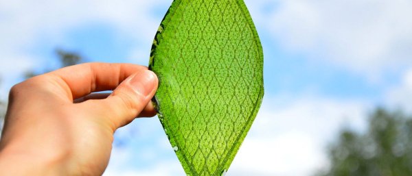 Scientists Build Artificial CO2-Capture Cycle Outperforming Natural Photosynthesis