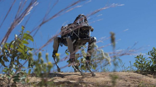 Marine Corps Tests Robotic Dog in Urban Combat Drills